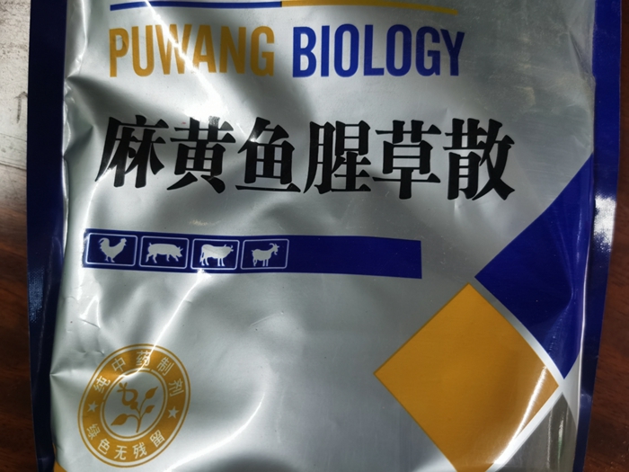 麻黃魚腥草散--肺熱咳喘、雞支原體病，胸膜肺炎與支原體混合感染