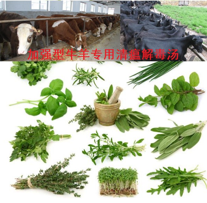 加強(qiáng)型牛羊?qū)Ｓ们逦两舛緶?6味原生中草藥公開組方，牛羊養(yǎng)殖場(chǎng)常備無(wú)憂