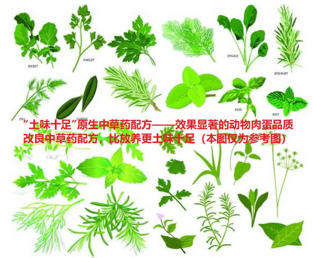 “土味十足”原生中草藥配方——效果顯著的動(dòng)物肉蛋品質(zhì)改良中草藥配方，比放養(yǎng)更土味十足