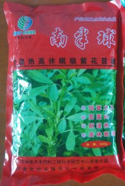 南半球紫花苜蓿,富含粗蛋白、維生素和礦物質(zhì)及動(dòng)物必需的氨基酸優(yōu)質(zhì)牧草