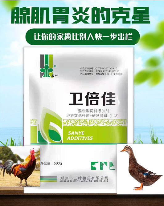 【新產(chǎn)品】腺肌胃炎的克星，讓你的家禽比別人更快一步出欄！