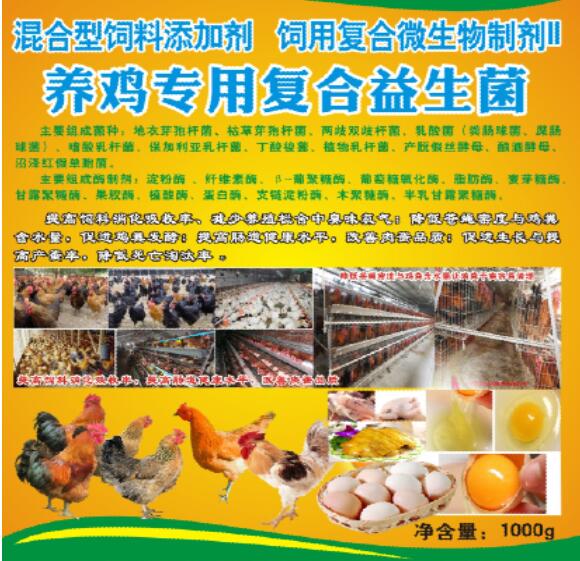 養雞專用復合益生菌——雞場生態健康養殖專業益生微生物制劑產品，降低料耗、氨氣臭味，改善肉蛋品質