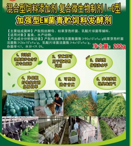 加強(qiáng)型EM菌青貯飼料專用發(fā)酵劑，真正的專業(yè)菌種更好的青貯飼料發(fā)酵劑，發(fā)酵成功率高速度快，香醇可口，牛羊喜吃，連豬雞都搶吃