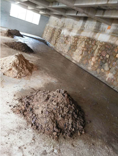 荔浦桂祥生態養殖場5.png