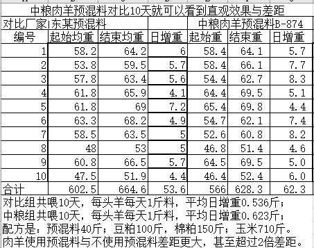 中糧肉羊預(yù)混料對(duì)比10天就可以看到直觀效果與差距.jpg