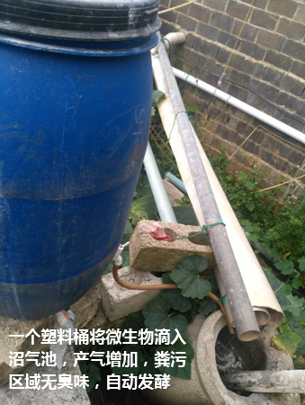 武鳴區(qū)現(xiàn)代生態(tài)豬場4.png