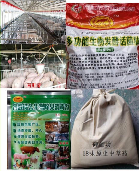 3ä¸aç»„åˆè¿ç”¨äo§å“.jpg