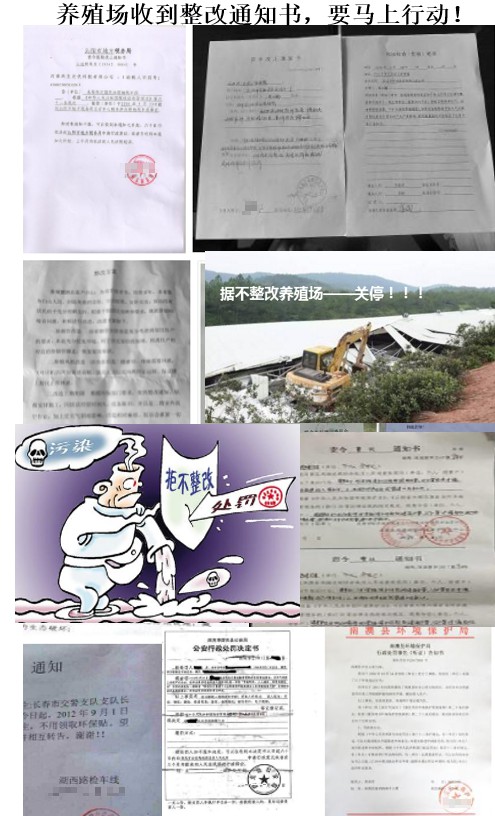養(yǎng)殖場(chǎng)收到環(huán)保整改通知書.jpg
