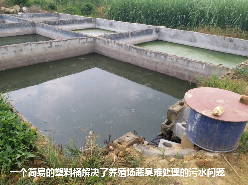 武鳴區(qū)生態(tài)養(yǎng)殖場(chǎng)效果驗(yàn)證1.png