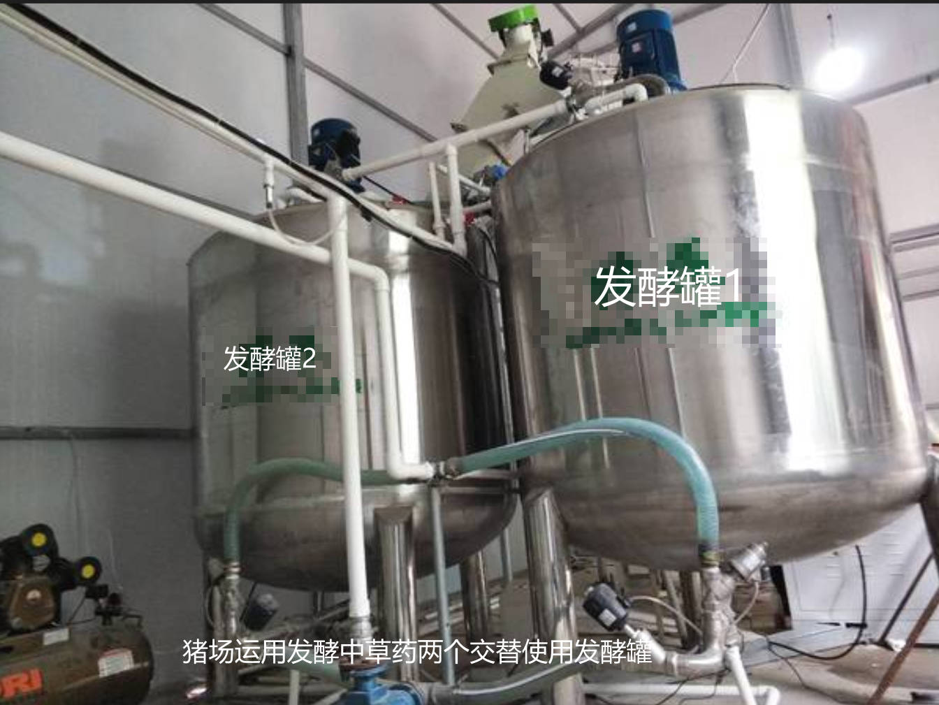 豬場運(yùn)用發(fā)酵中草藥兩個(gè)交替使用發(fā)酵罐.jpg