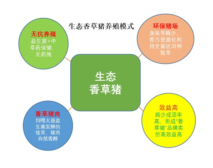 生態香草豬養殖模式.jpg