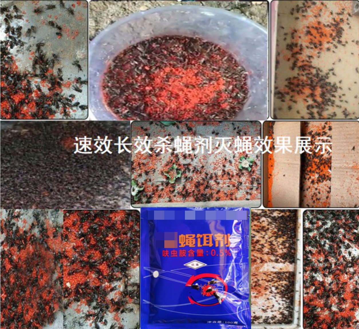 滅蒼蠅效果.jpg