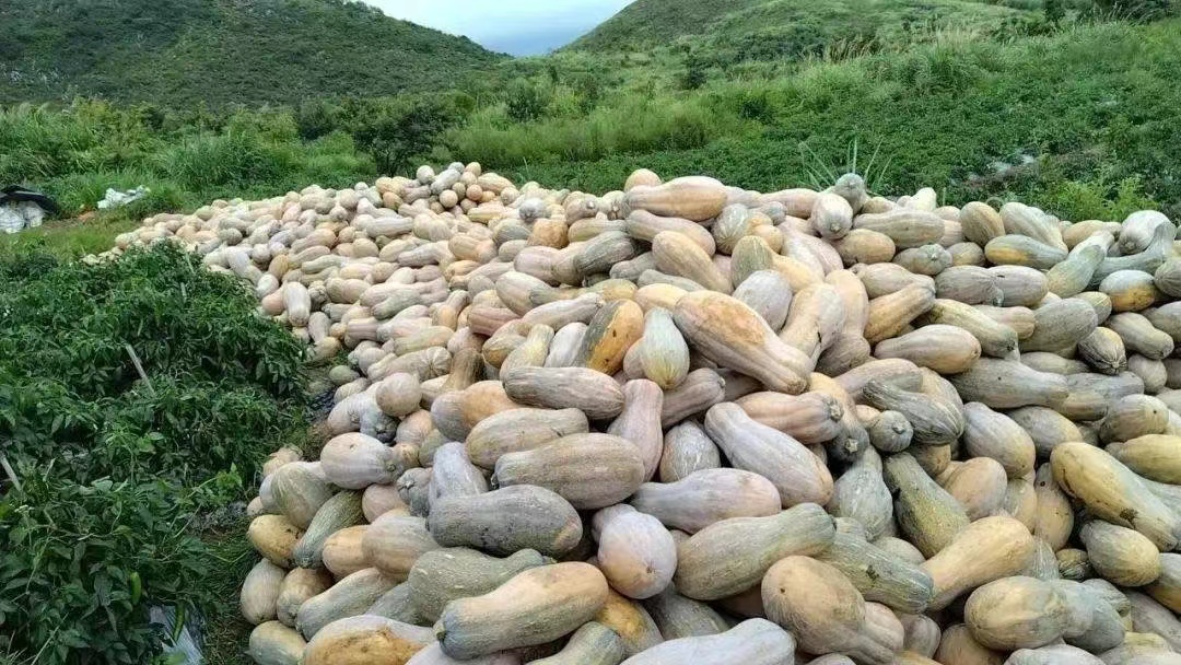 微信圖片_20250528090037.jpg