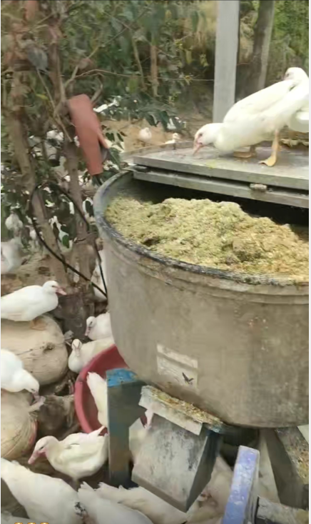 QQ圖片20250528141149.png