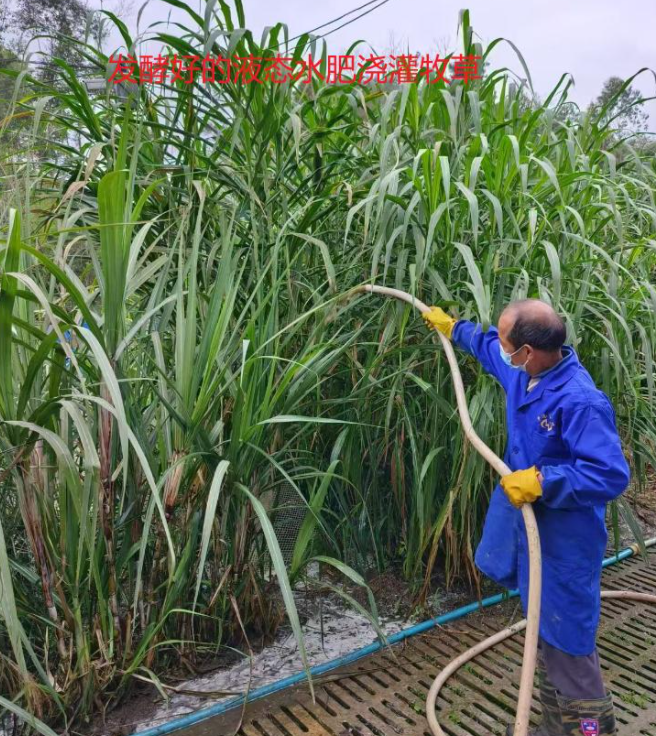 污水處理劑噴灑1.png