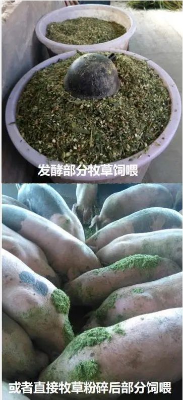 QQ圖片20250529123228.jpg